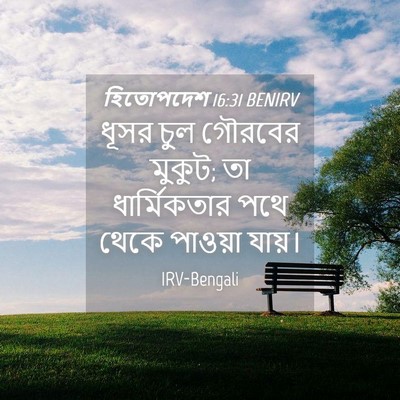 Picture 04 - হিতোপদেশ 16:31 BENIRV - ধূসর চুল গৌরবের - Bible Verse Picture