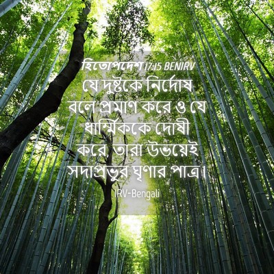 Picture 04 - হিতোপদেশ 17:15 BENIRV - যে দুষ্টকে - Bible Verse Picture