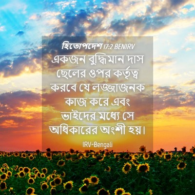 Picture 04 - হিতোপদেশ 17:2 BENIRV - একজন বুদ্ধিমান - Bible Verse Picture