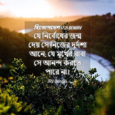 Picture 04 - হিতোপদেশ 17:21 BENIRV - যে নির্বোধের জন্ম - Bible Verse Picture