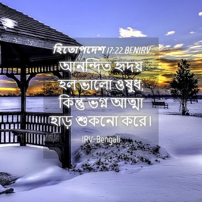 Picture 04 - হিতোপদেশ 17:22 BENIRV - আনন্দিত হৃদয় হল - Bible Verse Picture