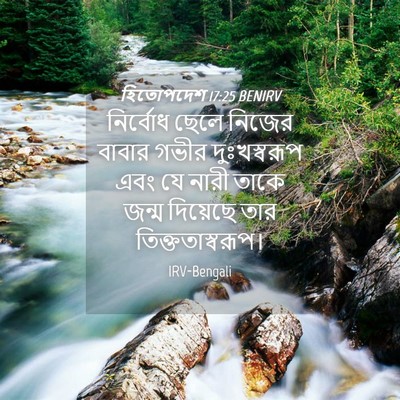 Picture 04 - হিতোপদেশ 17:25 BENIRV - নির্বোধ ছেলে - Bible Verse Picture