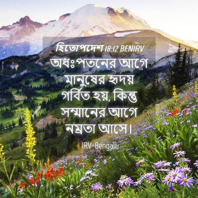 Picture 04 - হিতোপদেশ 18:12 BENIRV - অধঃপতনের আগে - Bible Verse Picture