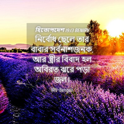 Picture 04 - হিতোপদেশ 19:13 BENIRV - নির্বোধ ছেলে তার - Bible Verse Picture