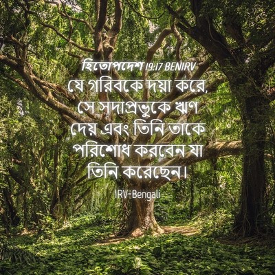 Picture 04 - হিতোপদেশ 19:17 BENIRV - যে গরিবকে দয়া করে, - Bible Verse Picture