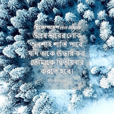 Picture 04 - হিতোপদেশ 19:19 BENIRV - উগ্রস্বভাবের লোক - Bible Verse Picture