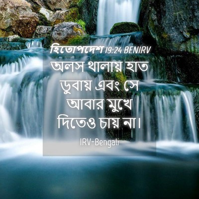 Picture 04 - হিতোপদেশ 19:24 BENIRV - অলস থালায় হাত - Bible Verse Picture