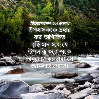 Picture 04 - হিতোপদেশ 19:25 BENIRV - উপহাসককে প্রহার - Bible Verse Picture