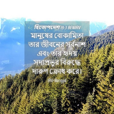 Picture 04 - হিতোপদেশ 19:3 BENIRV - মানুষের বোকামিতা - Bible Verse Picture