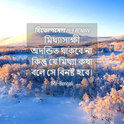 Picture 04 - হিতোপদেশ 19:9 BENIRV - মিথ্যাসাক্ষী - Bible Verse Picture
