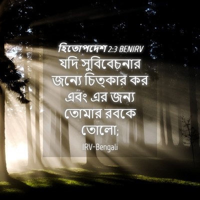 Picture 04 - হিতোপদেশ 2:3 BENIRV - যদি সুবিবেচনার - Bible Verse Picture