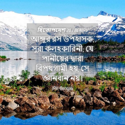 Picture 04 - হিতোপদেশ 20:1 BENIRV - আঙ্গুর রস উপহাসক; - Bible Verse Picture