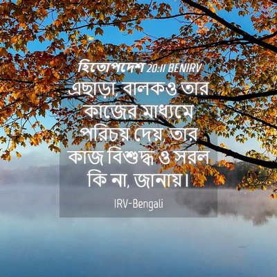 Picture 04 - হিতোপদেশ 20:11 BENIRV - এছাড়া, বালকও তার - Bible Verse Picture