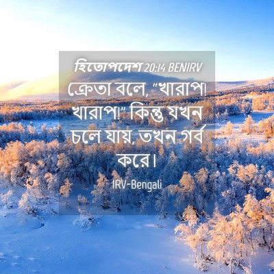 Picture 04 - হিতোপদেশ 20:14 BENIRV - ক্রেতা বলে, “খারাপ! - Bible Verse Picture