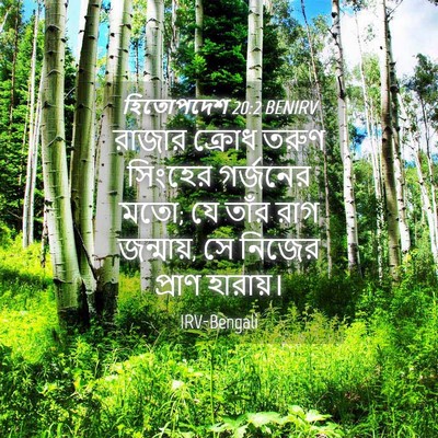 Picture 04 - হিতোপদেশ 20:2 BENIRV - রাজার ক্রোধ তরুণ - Bible Verse Picture