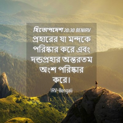 Picture 04 - হিতোপদেশ 20:30 BENIRV - প্রহারের যা - Bible Verse Picture
