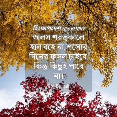 Picture 04 - হিতোপদেশ 20:4 BENIRV - অলস শরত্কালে হাল - Bible Verse Picture