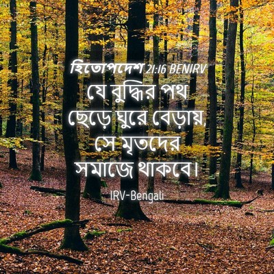 Picture 04 - হিতোপদেশ 21:16 BENIRV - যে বুদ্ধির পথ - Bible Verse Picture