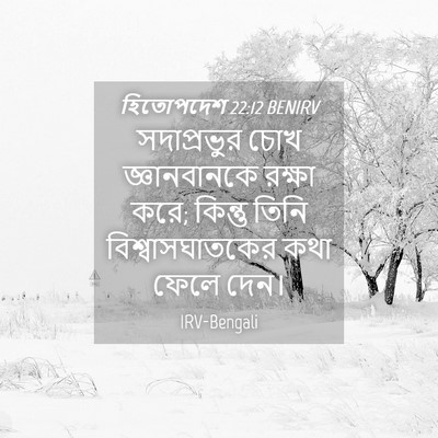 Picture 04 - হিতোপদেশ 22:12 BENIRV - সদাপ্রভুর চোখ - Bible Verse Picture