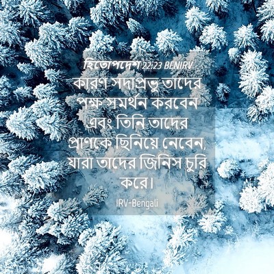 Picture 04 - হিতোপদেশ 22:23 BENIRV - কারণ সদাপ্রভু - Bible Verse Picture
