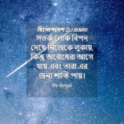 Picture 04 - হিতোপদেশ 22:3 BENIRV - সতর্ক লোক বিপদ - Bible Verse Picture