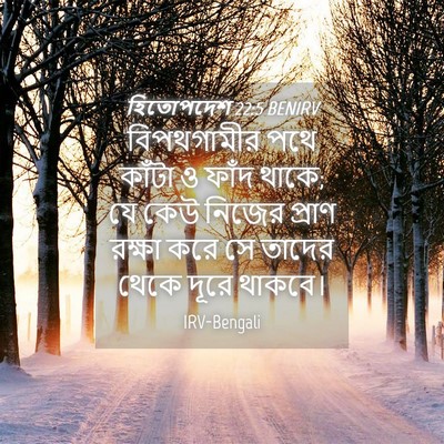 Picture 04 - হিতোপদেশ 22:5 BENIRV - বিপথগামীর পথে - Bible Verse Picture