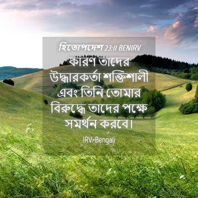 Picture 04 - হিতোপদেশ 23:11 BENIRV - কারণ তাদের - Bible Verse Picture