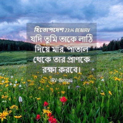 Picture 04 - হিতোপদেশ 23:14 BENIRV - যদি তুমি তাকে লাঠি - Bible Verse Picture