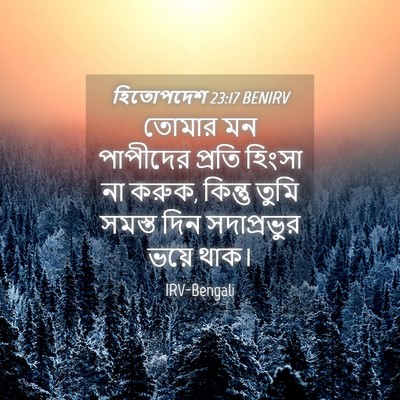Picture 04 - হিতোপদেশ 23:17 BENIRV - তোমার মন পাপীদের - Bible Verse Picture