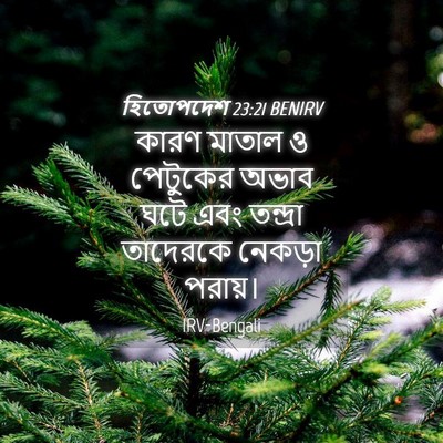 Picture 04 - হিতোপদেশ 23:21 BENIRV - কারণ মাতাল ও - Bible Verse Picture