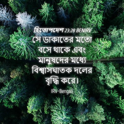 Picture 04 - হিতোপদেশ 23:28 BENIRV - সে ডাকাতের মতো বসে - Bible Verse Picture