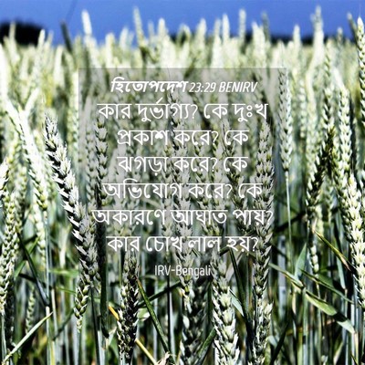 Picture 04 - হিতোপদেশ 23:29 BENIRV - কার দুর্ভাগ্য? কে - Bible Verse Picture