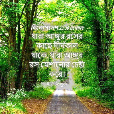 Picture 04 - হিতোপদেশ 23:30 BENIRV - যারা আঙ্গুর রসের - Bible Verse Picture