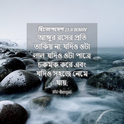 Picture 04 - হিতোপদেশ 23:31 BENIRV - আঙ্গুর রসের প্রতি - Bible Verse Picture