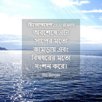 Picture 04 - হিতোপদেশ 23:32 BENIRV - অবশেষে এটা সাপের - Bible Verse Picture