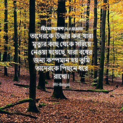 Picture 04 - হিতোপদেশ 24:11 BENIRV - তাদেরকে উদ্ধার কর, - Bible Verse Picture