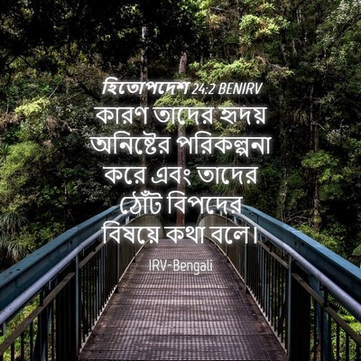 Picture 04 - হিতোপদেশ 24:2 BENIRV - কারণ তাদের হৃদয় - Bible Verse Picture
