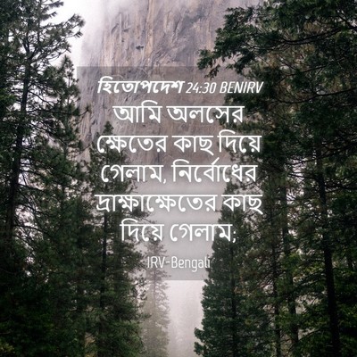 Picture 04 - হিতোপদেশ 24:30 BENIRV - আমি অলসের ক্ষেতের - Bible Verse Picture
