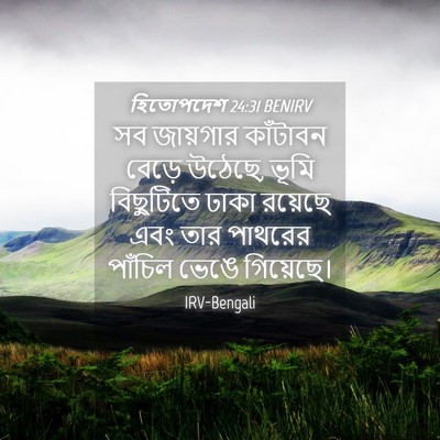 Picture 04 - হিতোপদেশ 24:31 BENIRV - সব জায়গার - Bible Verse Picture