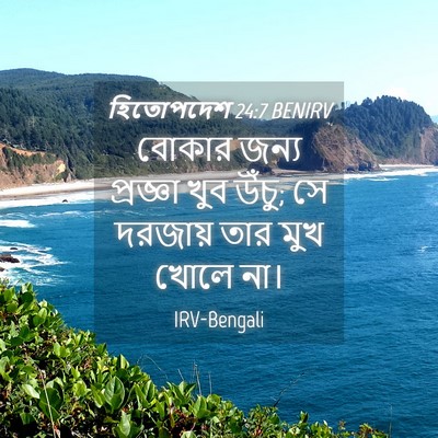Picture 04 - হিতোপদেশ 24:7 BENIRV - বোকার জন্য - Bible Verse Picture