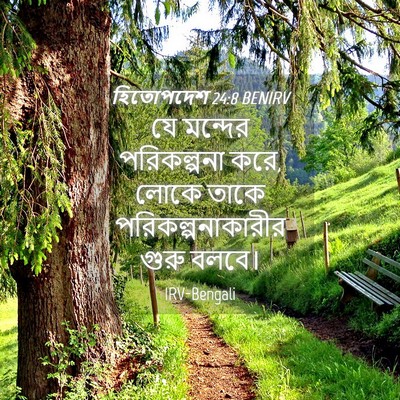 Picture 04 - হিতোপদেশ 24:8 BENIRV - যে মন্দের - Bible Verse Picture