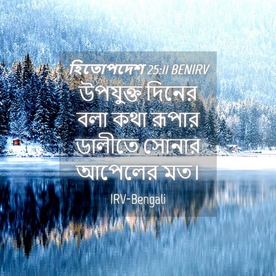 Picture 04 - হিতোপদেশ 25:11 BENIRV - উপযুক্ত দিনের বলা - Bible Verse Picture