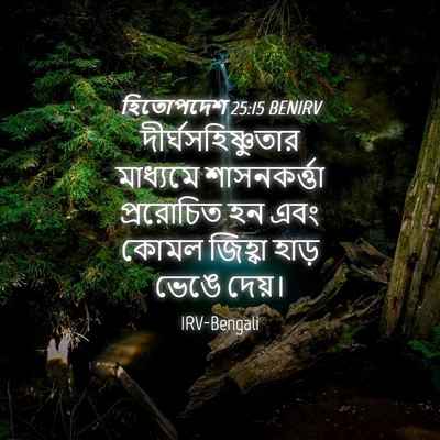 Picture 04 - হিতোপদেশ 25:15 BENIRV - দীর্ঘসহিষ্ণুতার - Bible Verse Picture