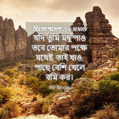Picture 04 - হিতোপদেশ 25:16 BENIRV - যদি তুমি মধু পাও - Bible Verse Picture
