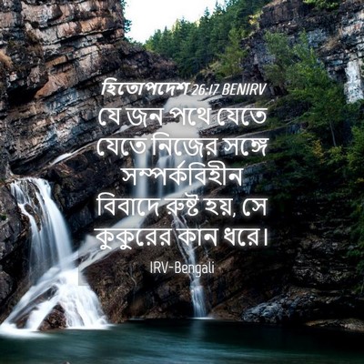 Picture 04 - হিতোপদেশ 26:17 BENIRV - যে জন পথে যেতে যেতে - Bible Verse Picture