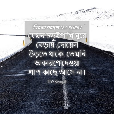 Picture 04 - হিতোপদেশ 26:2 BENIRV - যেমন চড়ুইপাখি - Bible Verse Picture