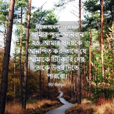 Picture 04 - হিতোপদেশ 27:11 BENIRV - আমার পুত্র, - Bible Verse Picture
