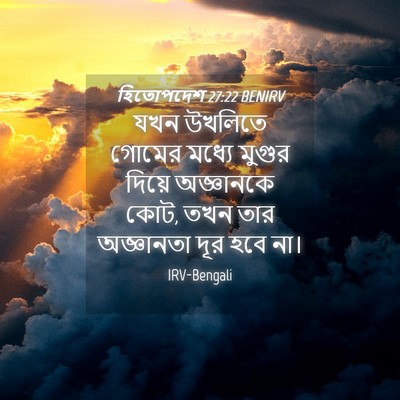 Picture 04 - হিতোপদেশ 27:22 BENIRV - যখন উখলিতে গোমের - Bible Verse Picture