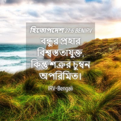 Picture 04 - হিতোপদেশ 27:6 BENIRV - বন্ধুর প্রহার - Bible Verse Picture