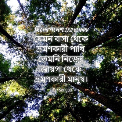 Picture 04 - হিতোপদেশ 27:8 BENIRV - যেমন বাসা থেকে - Bible Verse Picture